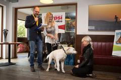 Statečné psí srdce 2015 - Art