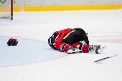 Finále EBEL: Znojmo - Salcburk