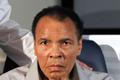 Muhammad Ali, box
