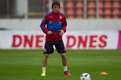 Česká reprezentace na srazu před Eurem 2016