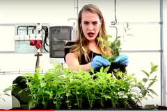 Klip Svazu školkařů.