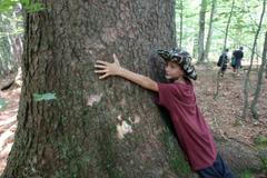 Na šumavě v pralese