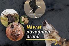 Návrat původních druhů