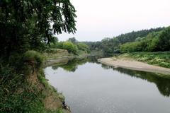 Řeka Morava u Bzence