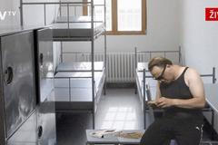 Přímý přenos z Dalíkovy cely v Ruzyni exkluzivně na "Pavlásek TV"