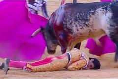 Slavného toreadora zabil býk v koridě během přímého televizního přenosu