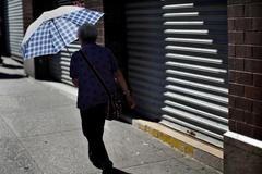 Léto v plném proudu