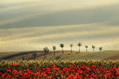 Obrazem: Moravské Toskánsko obdivuje celý svět. Podívejte se, proč