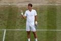 Wimbledon 2016: Tomáš Berdych