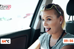 Jak dlouho vydržíte v rozpáleném autě