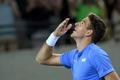 Juan Martín del Potro po vítězství nad Novakem Djokovičem v prvním kole olympiády 2016
