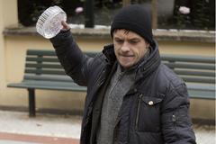 Vlk z Královských Vinohrad