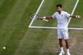 Wimbledon 2016: Novak Djokovič