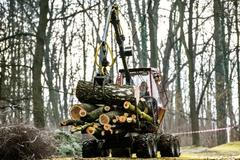 Les, těžba, práce