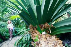 Botanická zahrada v Praze