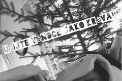 Jak sportovci tráví Vánoce (Vítková,Lejsek)