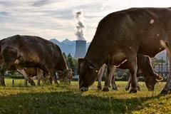 Švýcarská jaderná elektrárna Goesgen