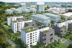 Bydlení v Praze: Tulipa