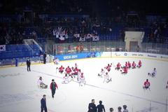 Sledge hokejová reprezentace na zimní paralympiádě v Soči 2014