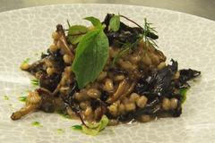 Ochutnejte tradiční vánoční pokrm: houbového kubu