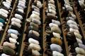 Islám, mešita, muslimové