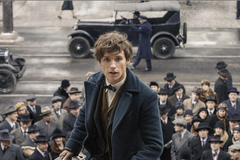 Fantastická zvířata a kde je najít