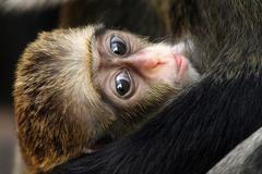 Fotím-Fotíš, snímky z komuninty na Google Plus