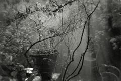 Josef Sudek – výstava v Dublinu