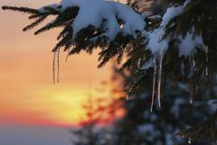 Foto: Zima je tu. Nechte se očarovat jejími krásami. /// Ilustrační snímek ///