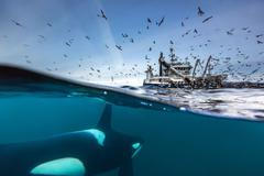 SIPA - fotosoutěž - fotoseriál