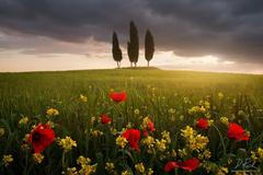 Daniel Řeřicha – 25 míst, kde světlo dělá kouzla