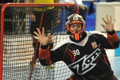 Lukáš Souček, florbalista, česká florbalová reprezentace 2016/17