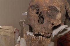 Nejste aristokrat? Genetici lákají Čechy na test modré krve. Chtějí vymýtit nemoci