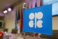 Logo OPEC