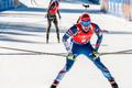 SP Pokljuka, stíhačka M: Michal Krčmář (9)