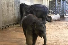 Povodeň v roce 2002 nám otevřela srdce lidí, dnes jsme nejlepší v Evropě, říká šéf Zoo Praha Bobek