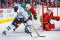 NHL: Calgary Flames vs. Dallas Stars (Radek Faksa)