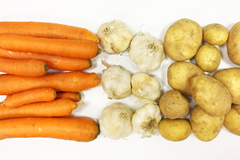 Zelenina, brambory, česnek, mrkev, ilustrační