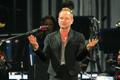 Sting
