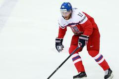 MS 2015, Česko-Švýcarsko: Jiří Novotný