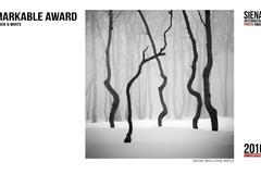 Daniel Řeřicha - SIPA