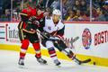 Příprava NHL: Calgary-Arizona