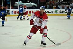 MS 2014, ČR-Finsko: Jakub Kindl
