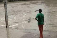 Žena neuvěřitelně riskovala. Krokodýla mořského zahnala svou botou
