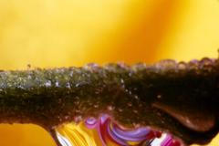 Proč alkalické kovy ve vodě explodují? Vědci si stále nejsou jistí