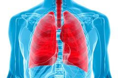 Vědci z Brna vytvořili umělé plíce. Mají simulovat potíže a zpřesnit léčbu