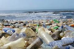 V pivu i v medu. Mikroplasty jsou všude. Obava, že mohou škodit člověku, tu je, říká Freidinger