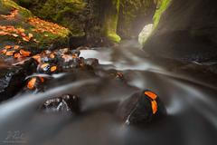 Daniel Řeřicha: Tajemná jeskyně na řece Křinici