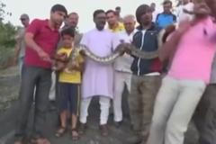 Indové si chtěli pořídit selfie s krajtou. Fotografa had kousnul