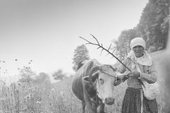 Ferdinand Bučina - fotografie